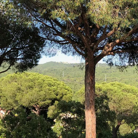 Sea Près Des Golfs *